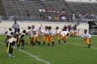 game1pic28_small.jpg