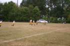 game6189_8933_small.jpg