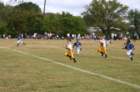 game6189_8956_small.jpg