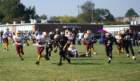 dsc_00053_small.jpg