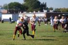dsc_00063_small.jpg