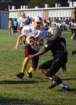 dsc_00073_small.jpg