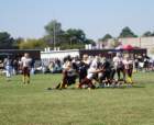 dsc_00102_small.jpg