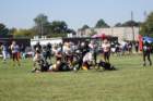 dsc_0011_small.jpg
