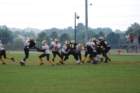 dsc_0014_small.jpg