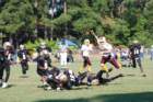 dsc_00173_small.jpg