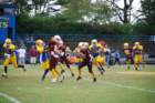 dsc_00174_small.jpg
