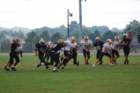 dsc_0017_small.jpg