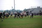 dsc_0018_small.jpg
