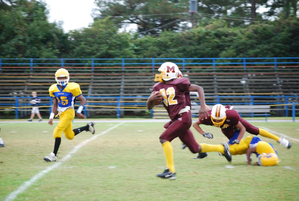 dsc_00203.jpg