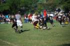 dsc_00233_small.jpg