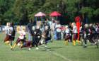 dsc_00252_small.jpg