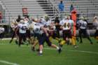 dsc_00262_small.jpg