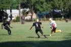 dsc_00263_small.jpg