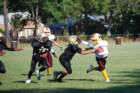 dsc_0027_small.jpg