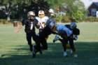 dsc_00282_small.jpg