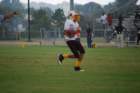 dsc_0028_small.jpg