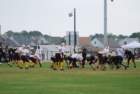 dsc_0029_small.jpg