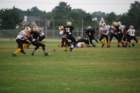 dsc_0031_small.jpg