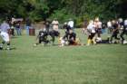 dsc_0044_small.jpg
