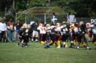 dsc_0045_small.jpg