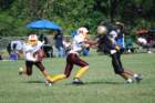 dsc_00482_small.jpg
