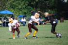 dsc_00492_small.jpg