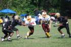 dsc_00502_small.jpg