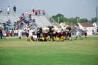 dsc_0050_small.jpg