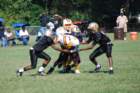 dsc_0051_small.jpg
