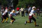 dsc_00542_small.jpg