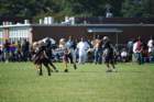 dsc_00582_small.jpg