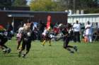 dsc_00592_small.jpg
