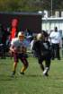dsc_00602_small.jpg