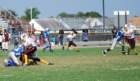 dsc_0060_small.jpg