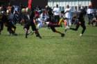 dsc_0061_small.jpg
