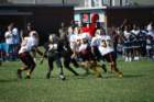 dsc_00672_small.jpg