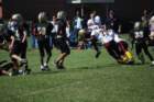 dsc_00682_small.jpg