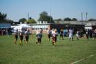 dsc_0071_small.jpg