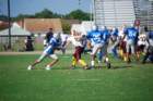 dsc_0078_small.jpg
