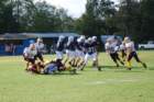 dsc_0119_small.jpg