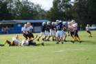 dsc_0120_small.jpg