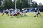 dsc_0121_small.jpg