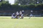 dsc_0127_small.jpg
