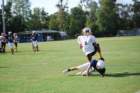 dsc_0131_small.jpg