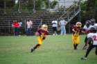 dsc_01382_small.jpg
