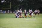 dsc_0138_small.jpg