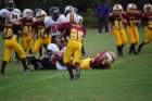 dsc_0141_small.jpg