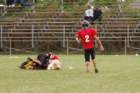 dsc_0145_small.jpg