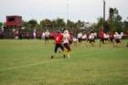 dsc_0151_small.jpg